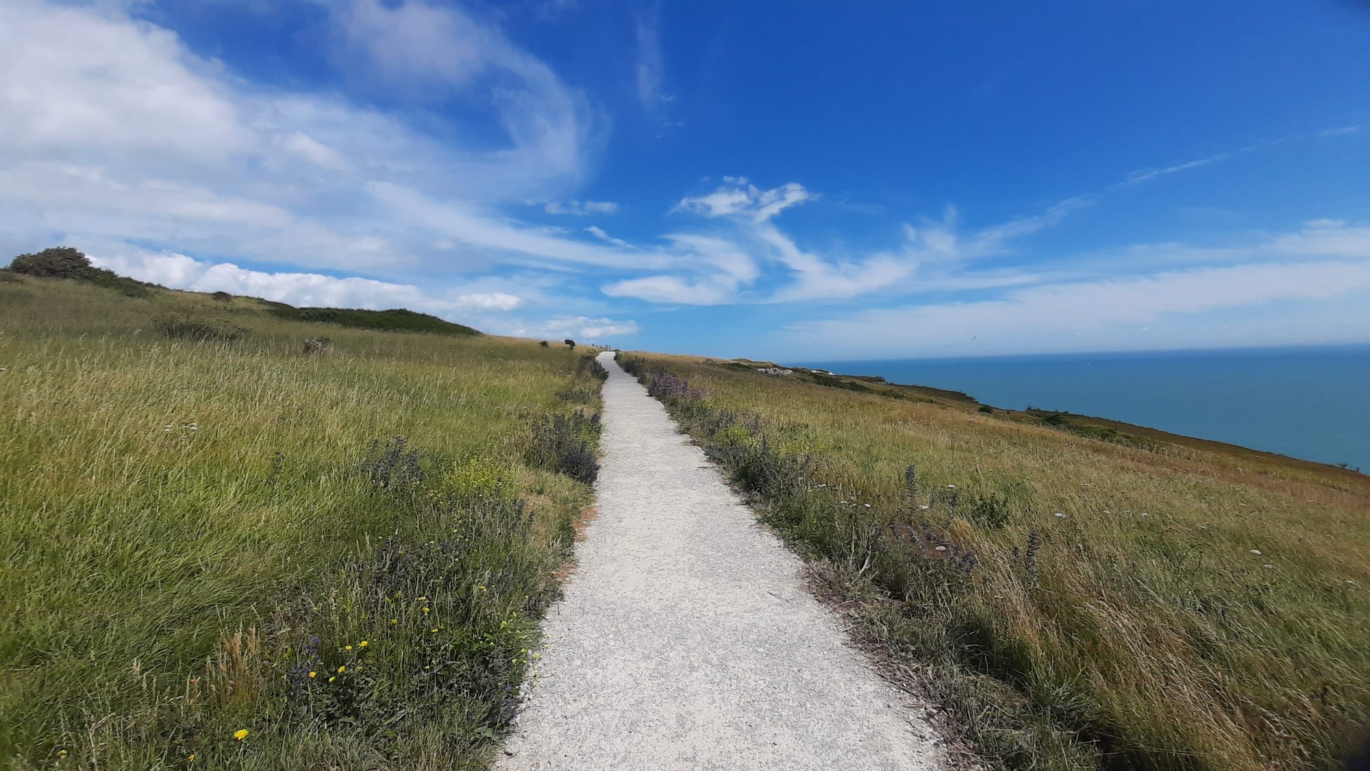Ein schmaler Weg führt über eine Wiese an der Küste in die Weite